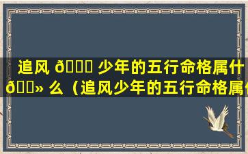 追风 🍀 少年的五行命格属什 🌻 么（追风少年的五行命格属什么属性）